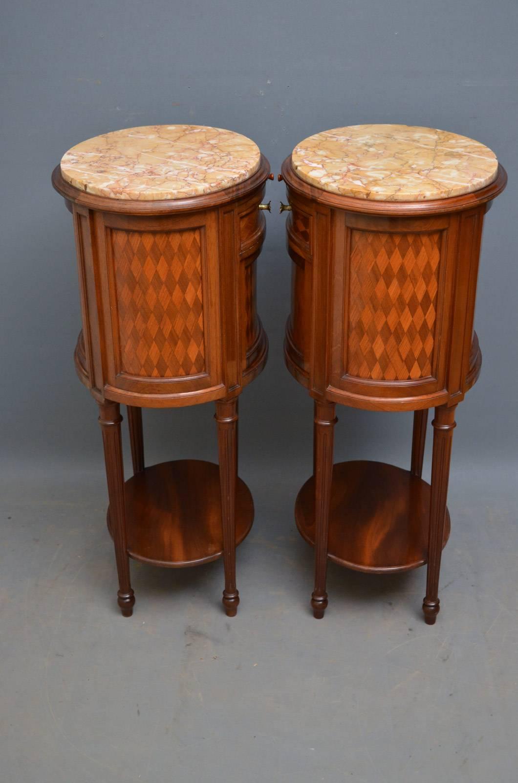 Pair of Turn of the Century Bedside Cabinets 4