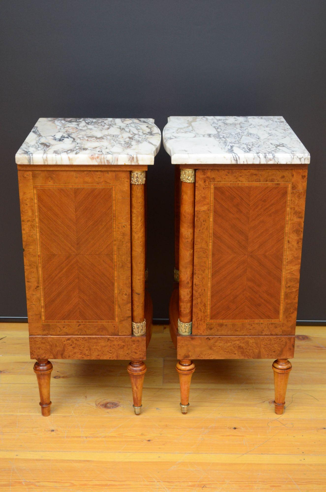 Pair of Turn of The Century Bedside Cabinets For Sale 9