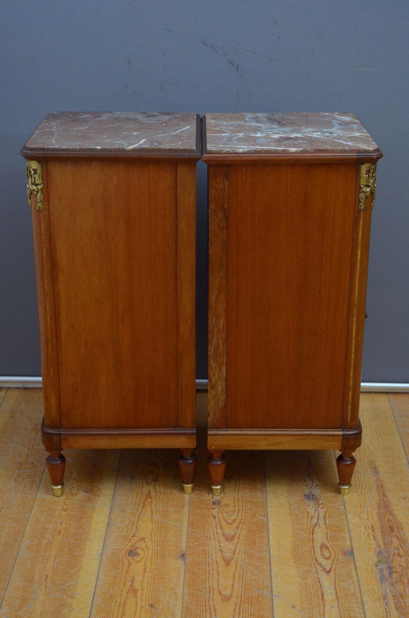 Pair of Turn of the Century Bedside Cabinets in Mahogany For Sale 5