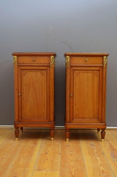 Pair of Turn of the Century Bedside Cabinets in Mahogany