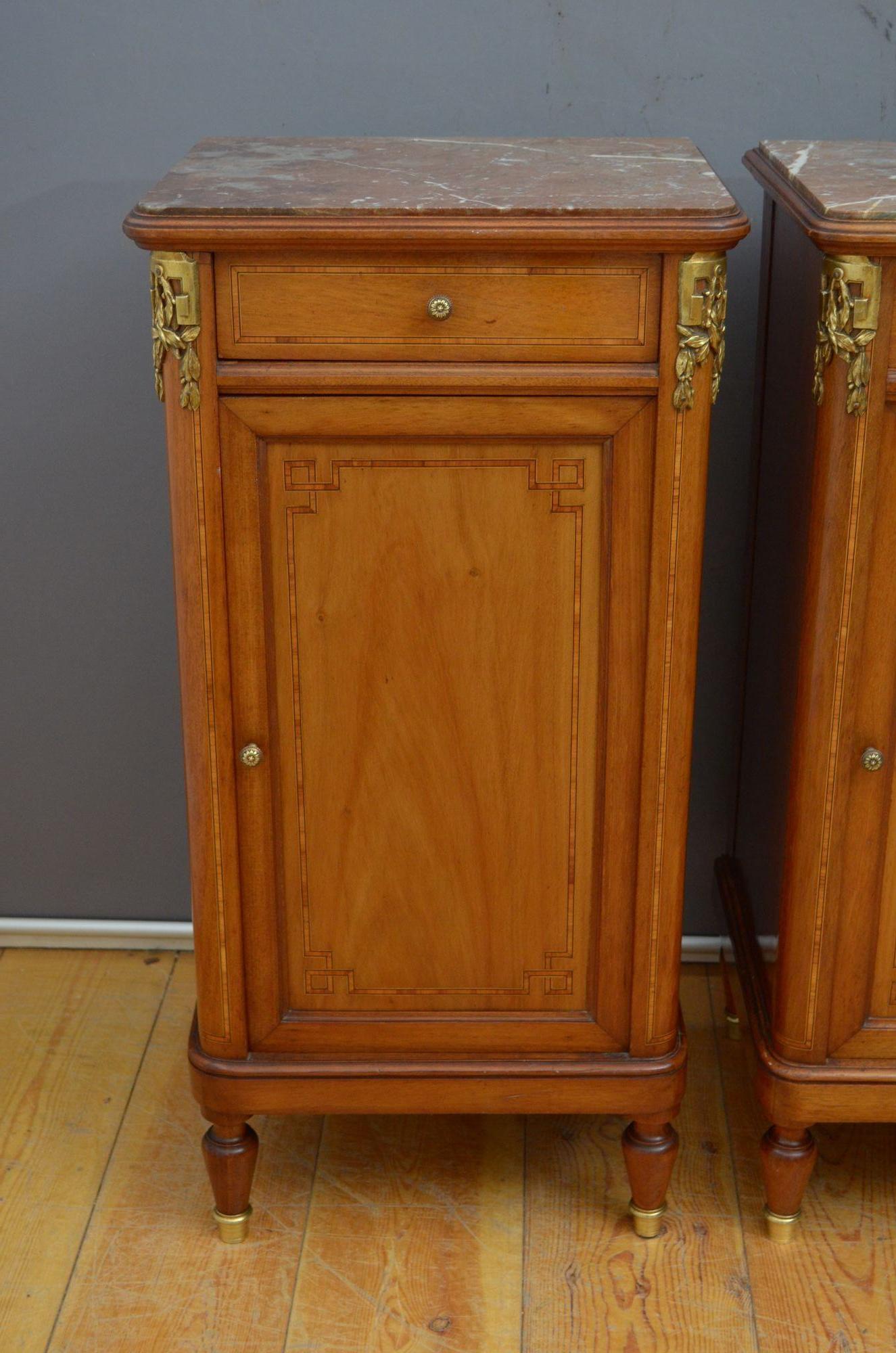 Pair of Turn of the Century Bedside Cabinets in Mahogany For Sale 2