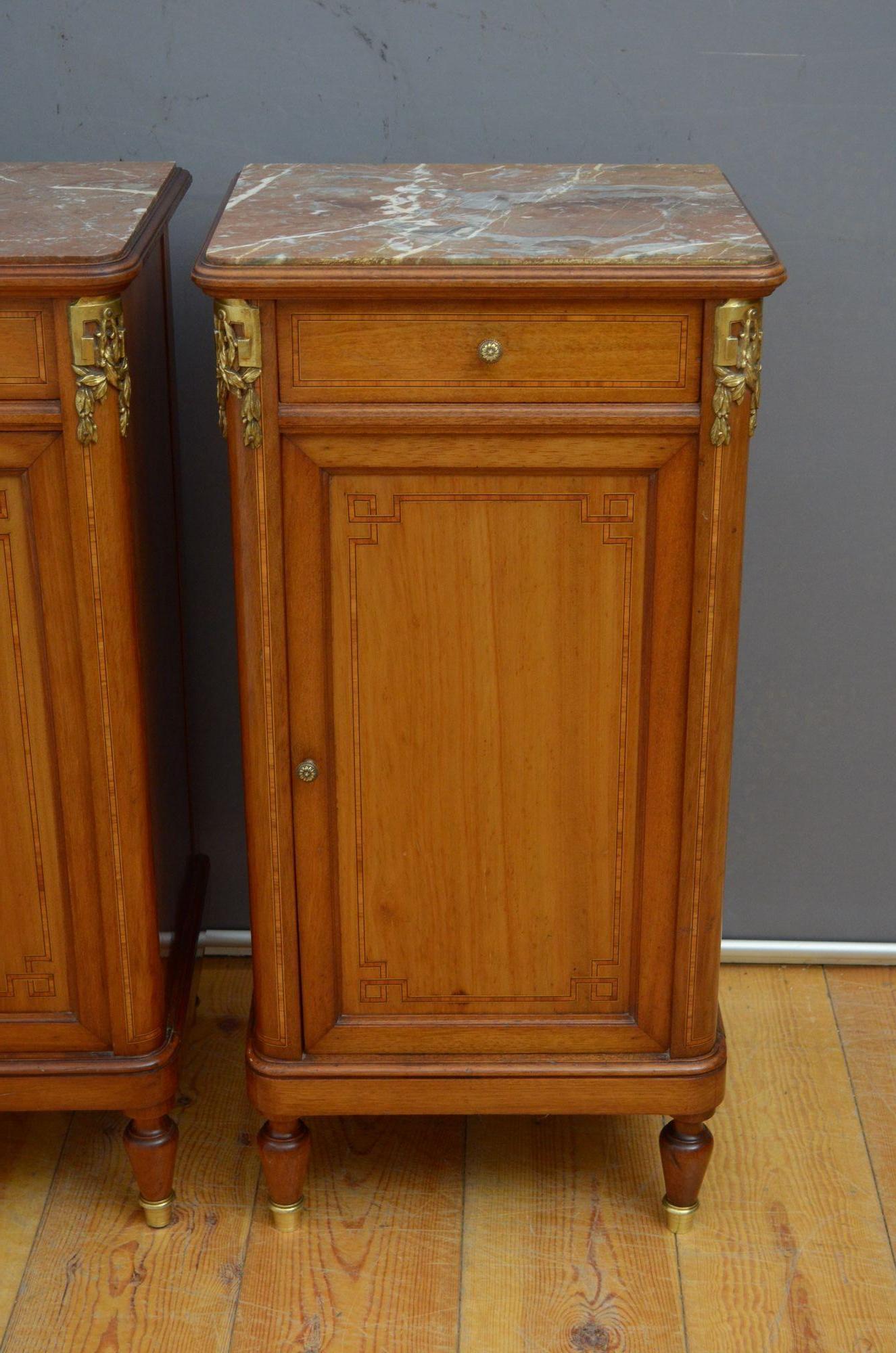 Pair of Turn of the Century Bedside Cabinets in Mahogany For Sale 3
