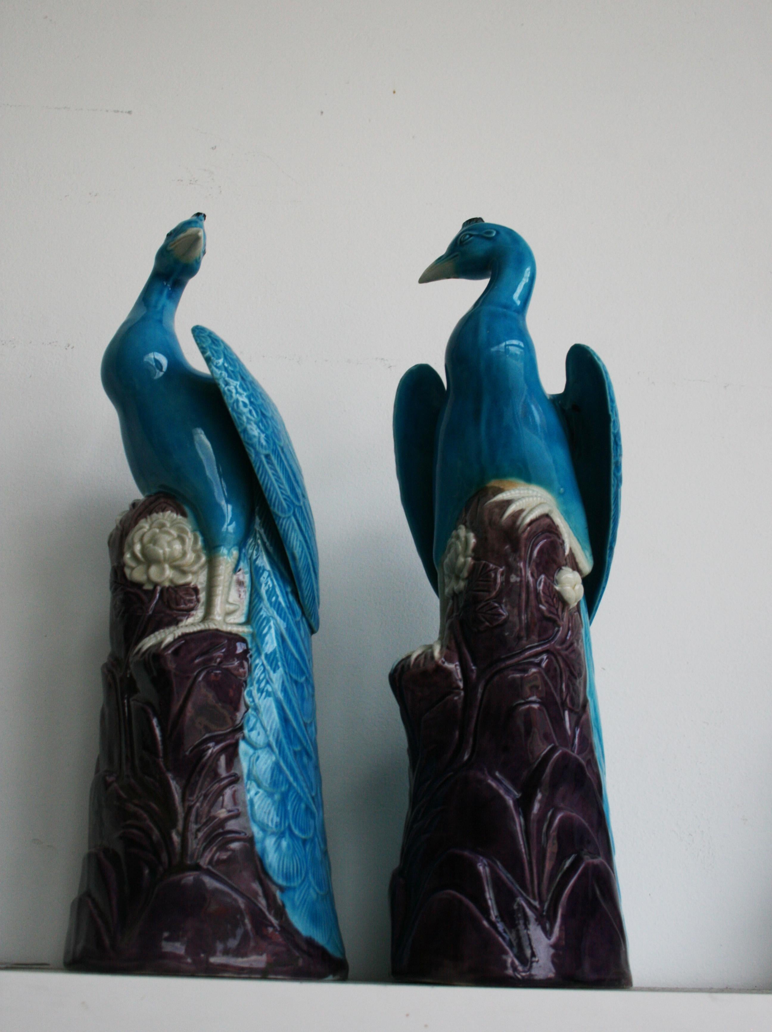 dellawisp birds