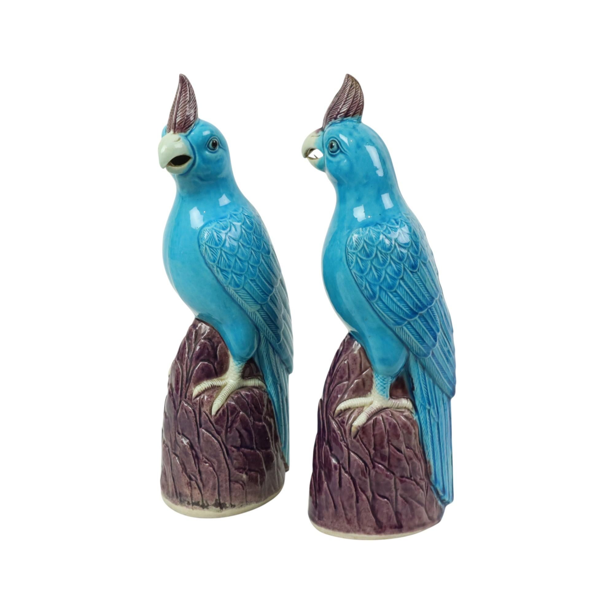 Pair of Turquoise Glazed Parrots Chinese Porcelain 30cm For Sale 10