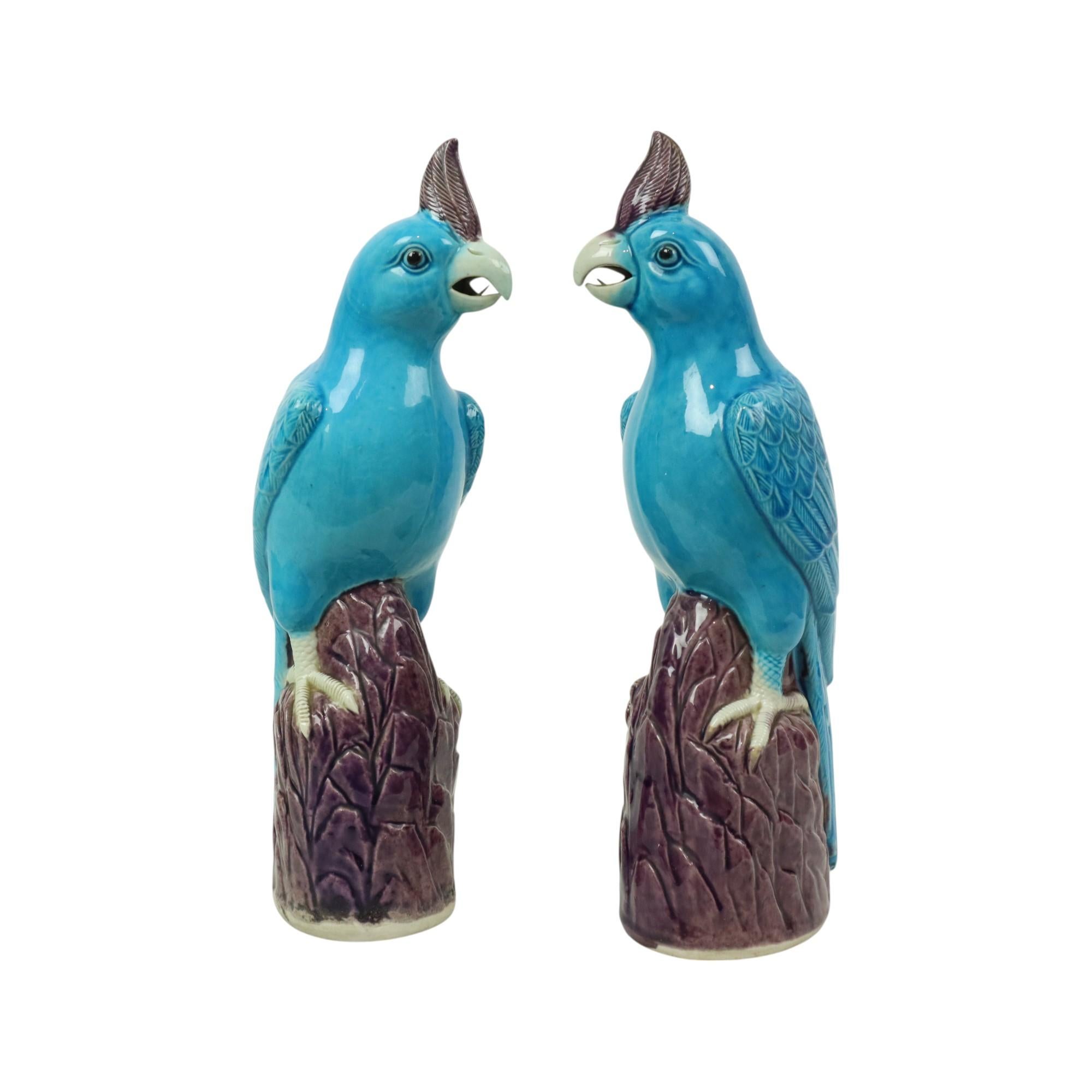 Chinoiserie Pair of Turquoise Glazed Parrots Chinese Porcelain 30cm For Sale