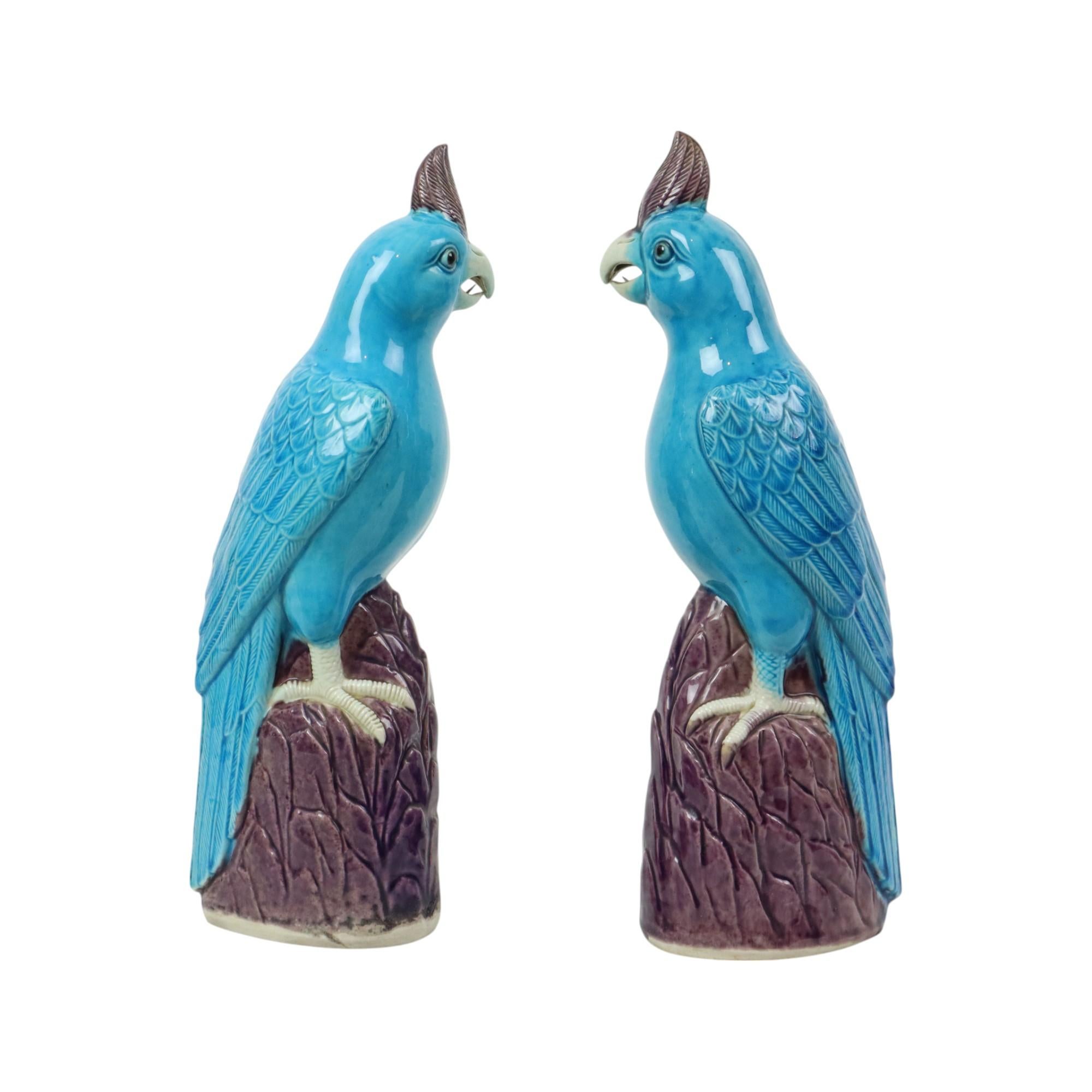 Pair of Turquoise Glazed Parrots Chinese Porcelain 30cm In Excellent Condition For Sale In Poperinge, BE