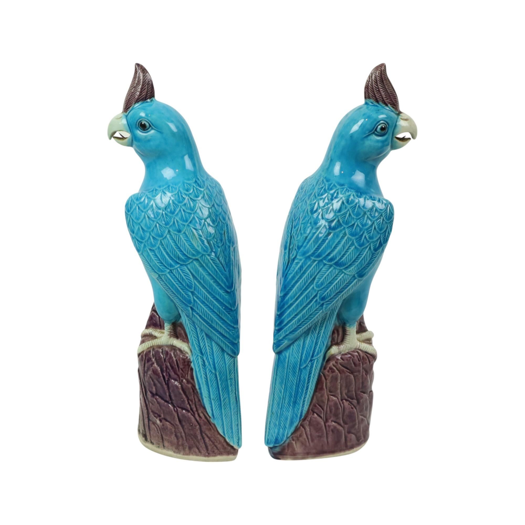 Pair of Turquoise Glazed Parrots Chinese Porcelain 30cm For Sale 3