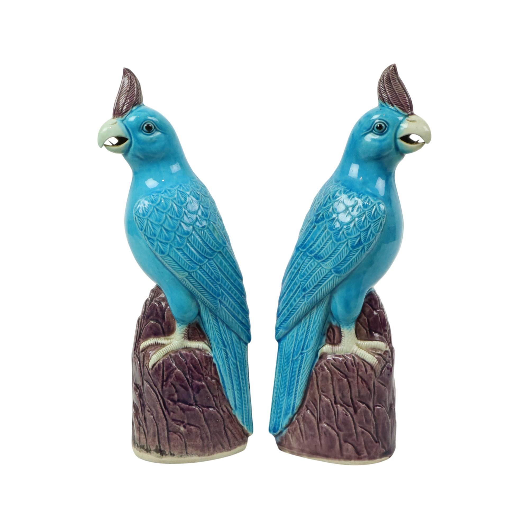 Pair of Turquoise Glazed Parrots Chinese Porcelain 30cm For Sale