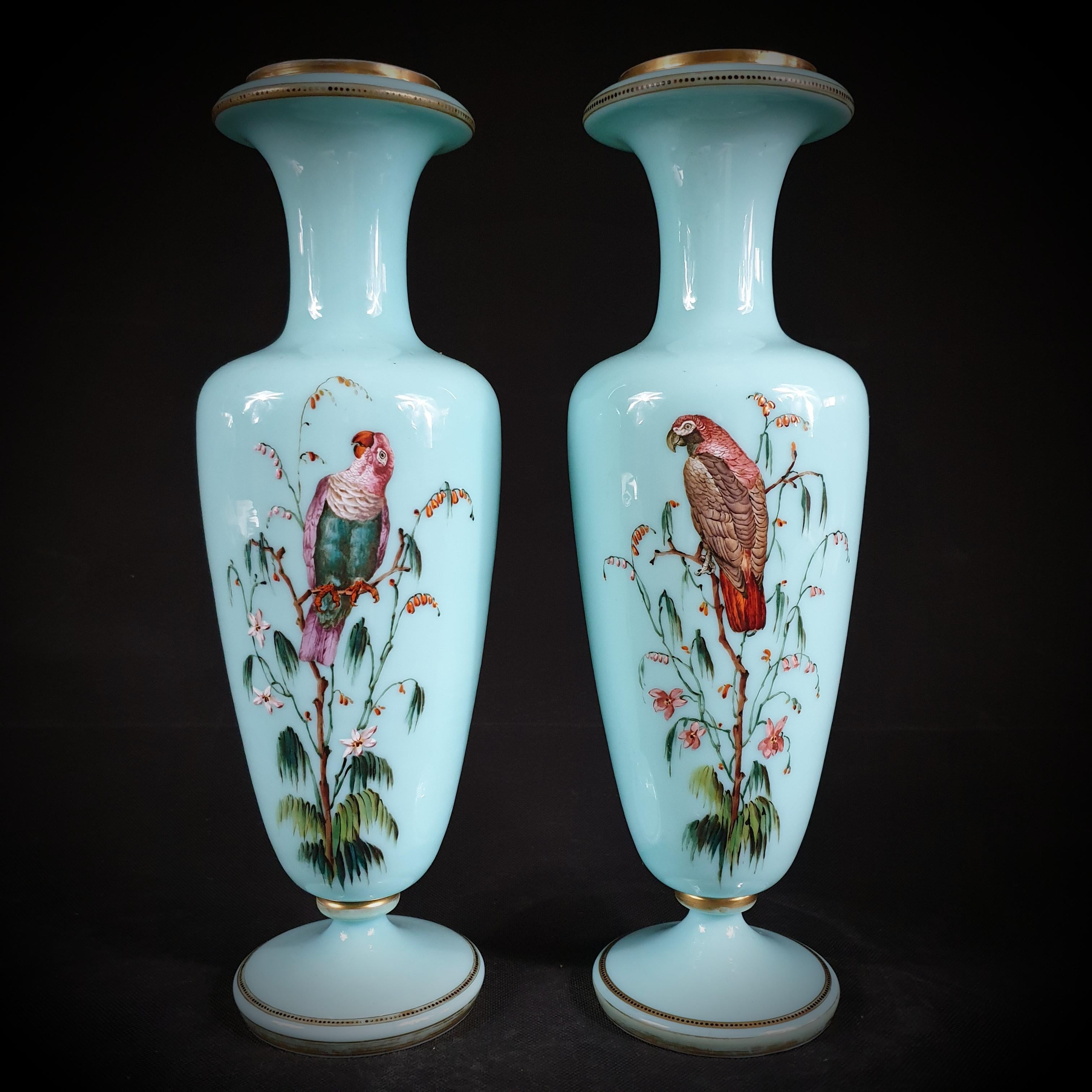 Pair of large translucent, trumpet-shaped, gilded, and painted turquoise opaline glass vases. These pair of opaline vases are decorated with gorgeous hand-painted parakeets and flowers on one side and butterflies and flowers on the other. The rim on