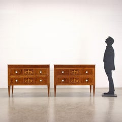 Pair of Tuscan Neoclassical Chest of Drawers, Tuscany Late 18th Century