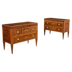 Antique Pair of Tuscan Neoclassical Chest of Drawers, Tuscany Late 18th Century