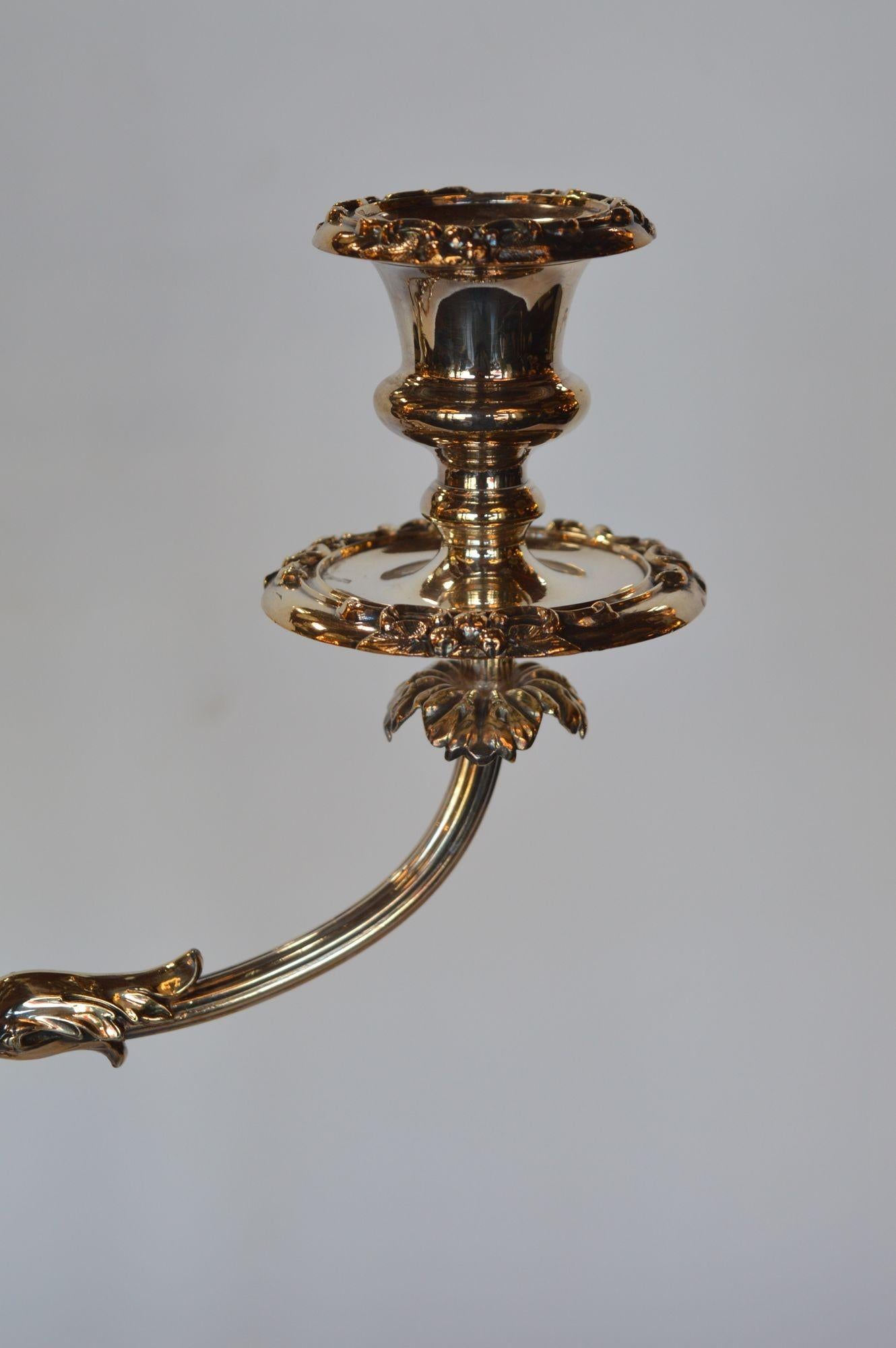 Pair of Twisted Silver Candelabras For Sale 1