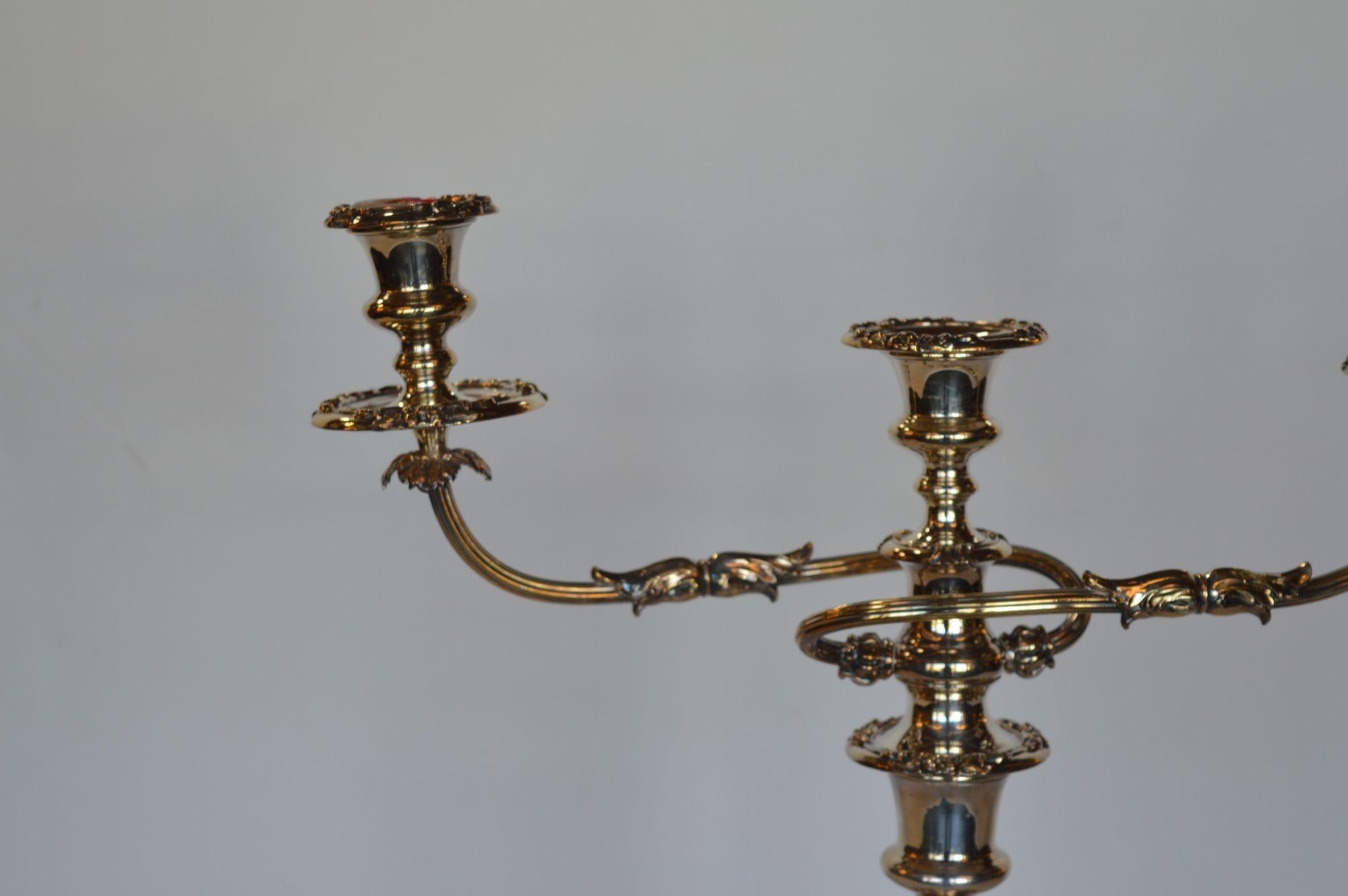 Pair of Twisted Silver Candelabras For Sale 3
