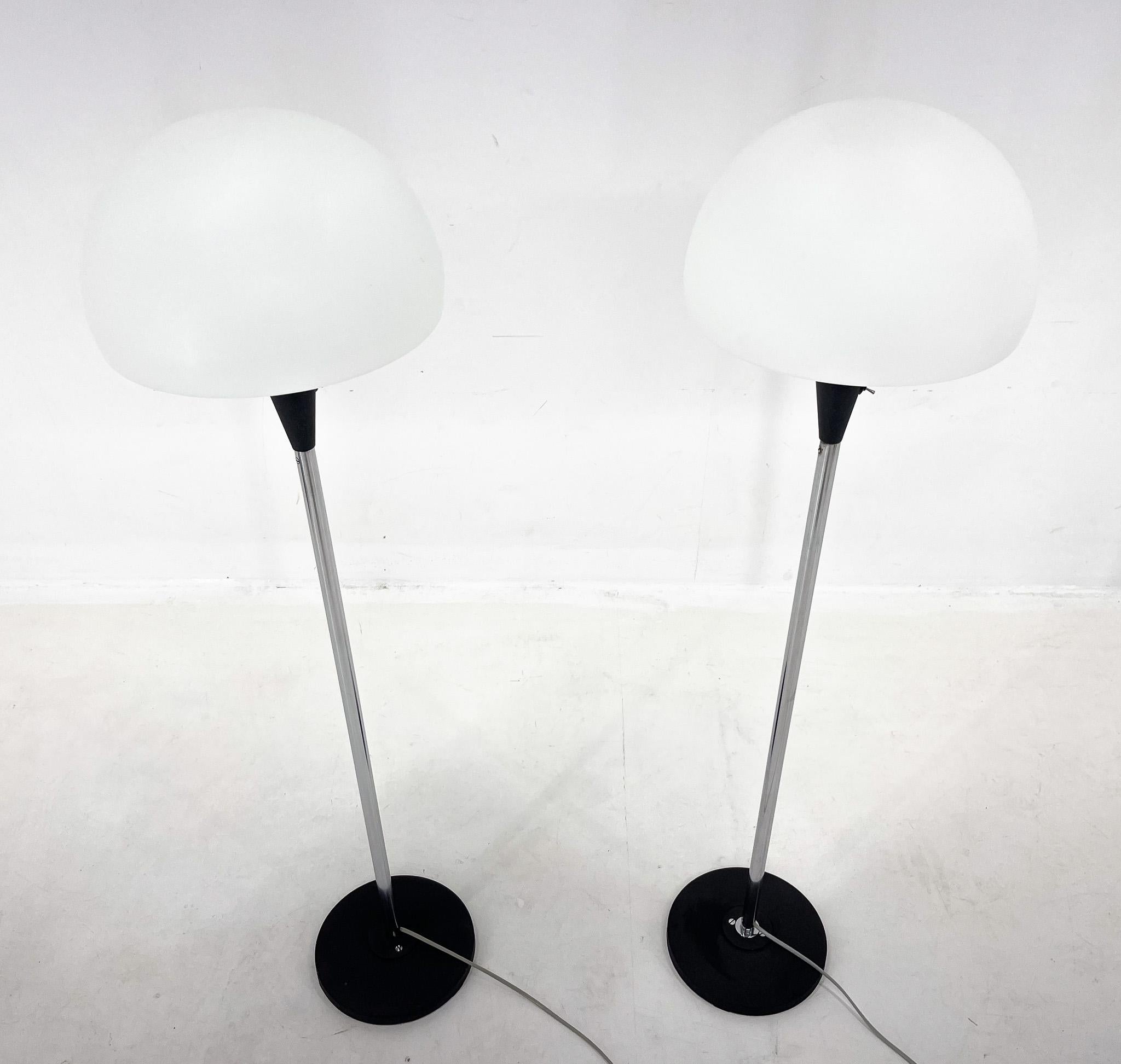 Mid-Century Modern Pair of Two Floor Lamps by Jaroslav Bejvl for Lidokov, 1960s For Sale
