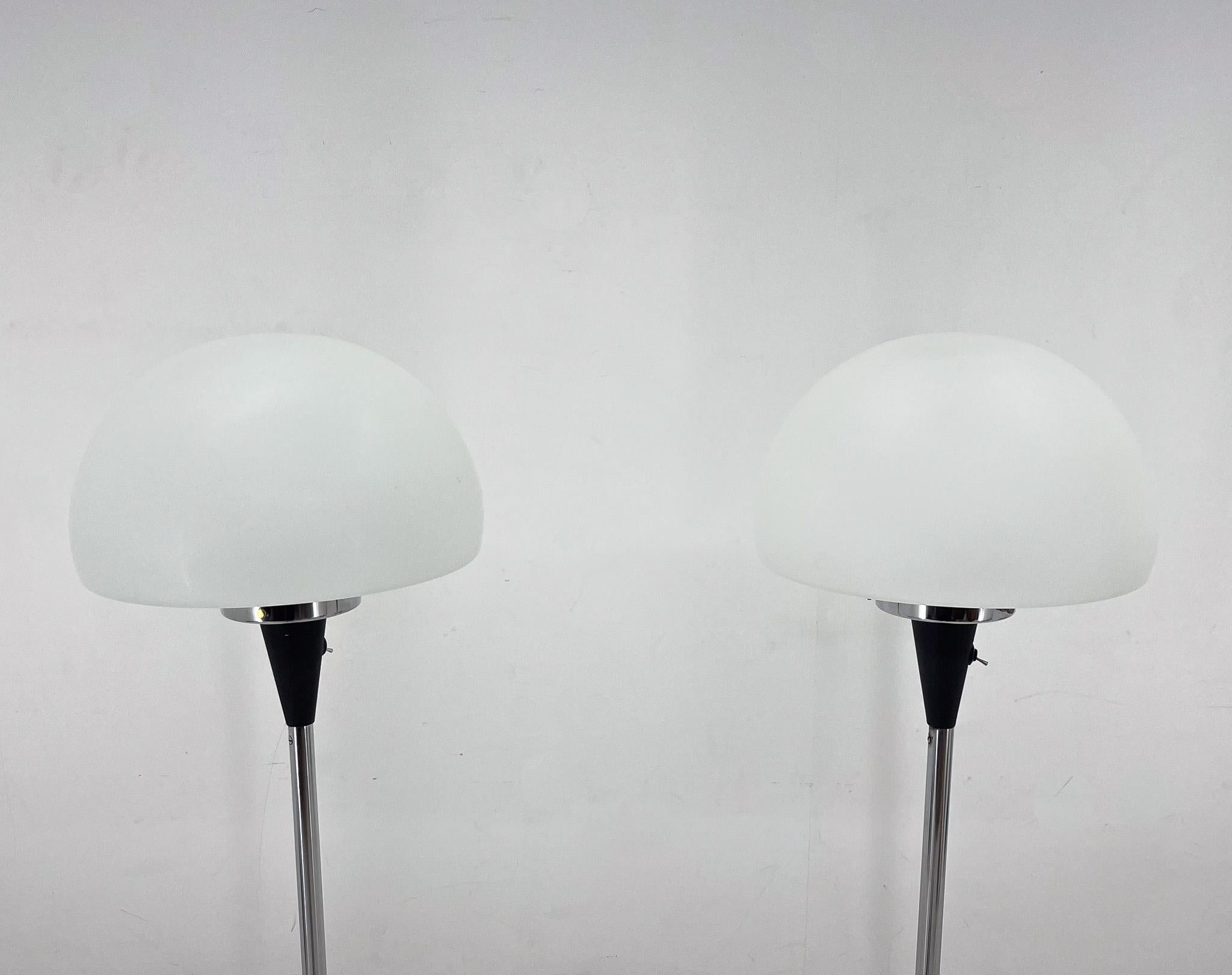 Czech Pair of Two Floor Lamps by Jaroslav Bejvl for Lidokov, 1960s For Sale