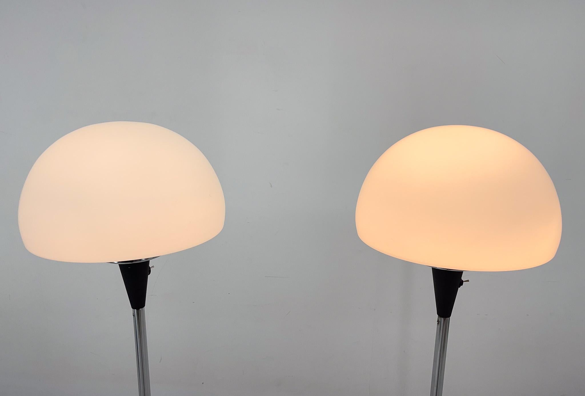 Pair of Two Floor Lamps by Jaroslav Bejvl for Lidokov, 1960s In Good Condition For Sale In Praha, CZ