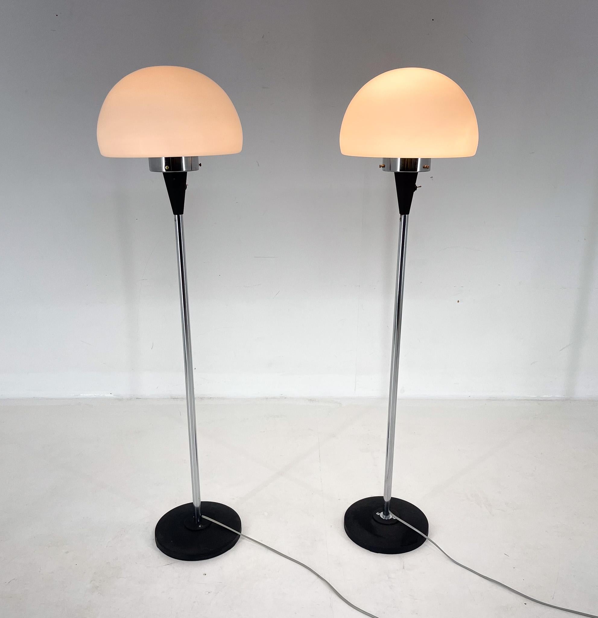 20th Century Pair of Two Floor Lamps by Jaroslav Bejvl for Lidokov, 1960s For Sale