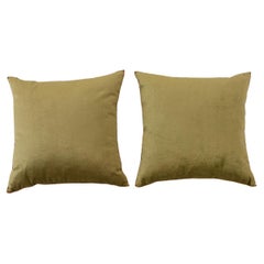 Pair of Two Tone Velvet BVIZ Pillows