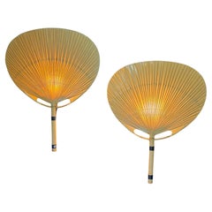 Wall Lights and Sconces