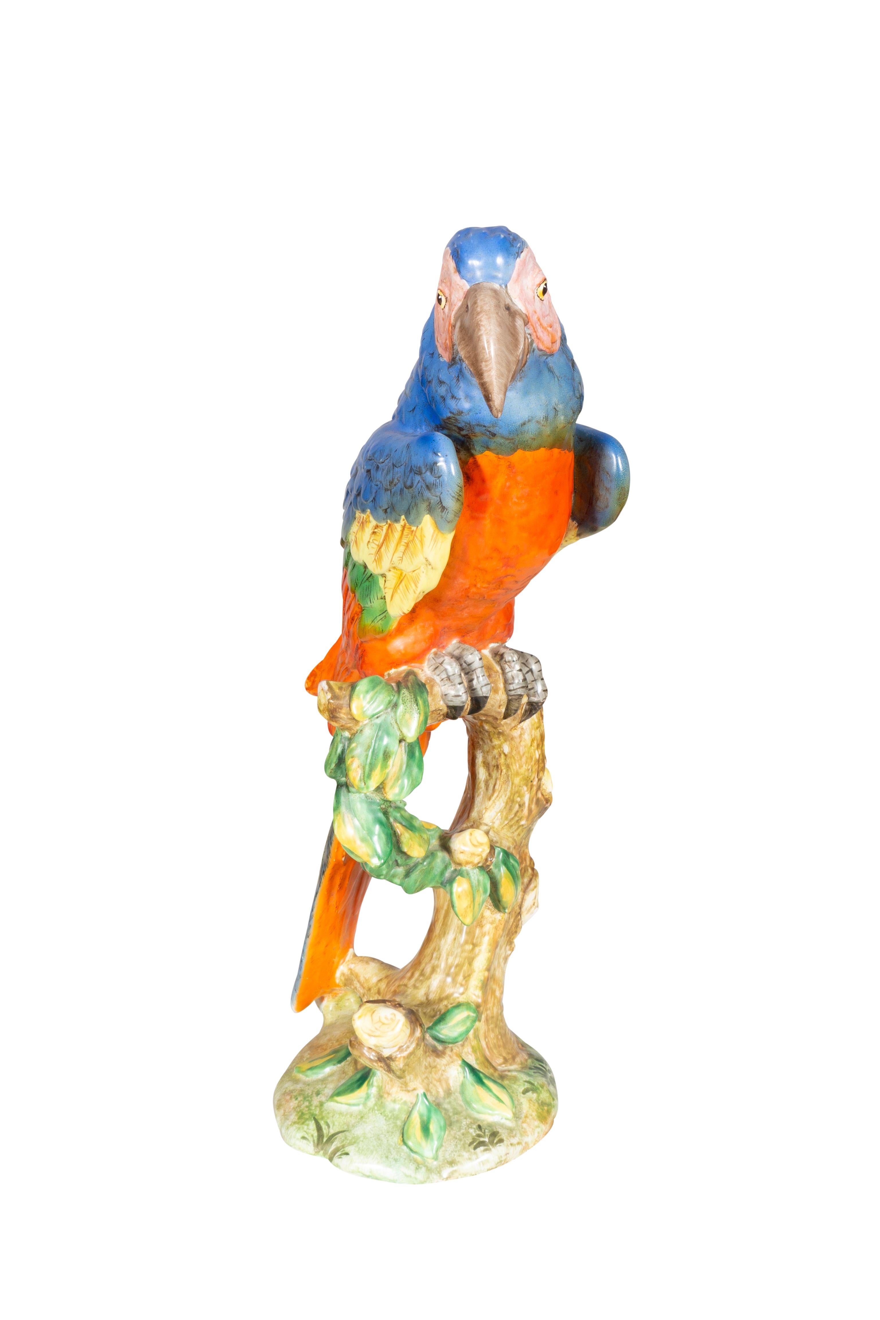 parrot zac