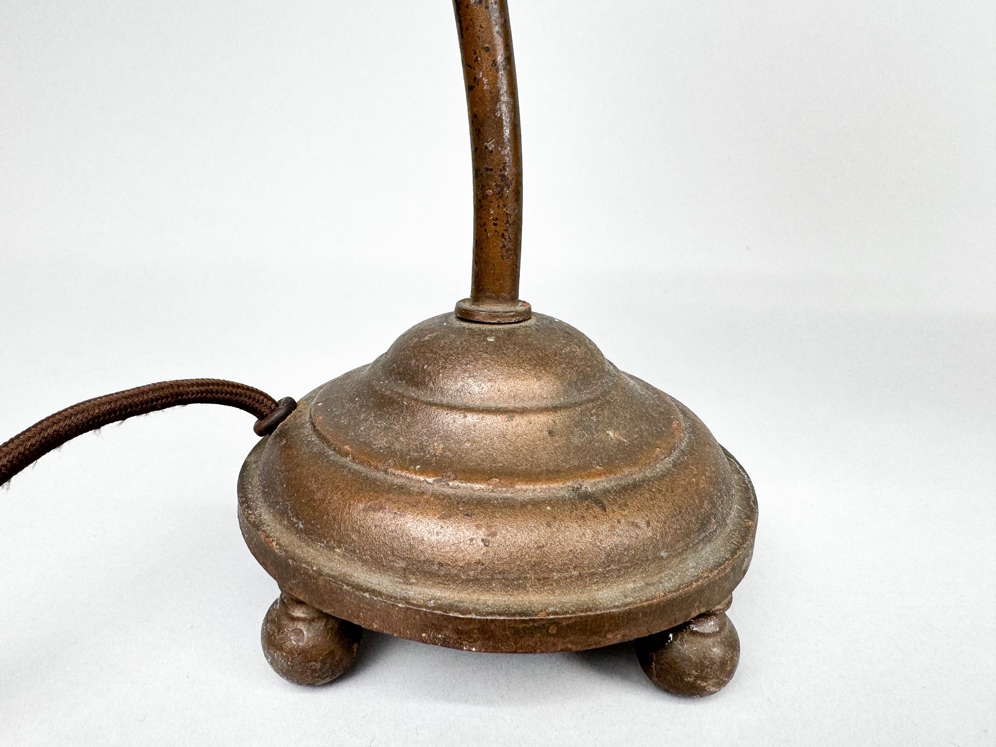 Pair of Unique 1920's Enamel & Cast Iron Desk Lamps, Czechoslovakia For Sale 5