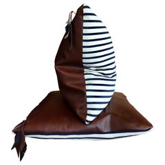 Pair of unique design cushion