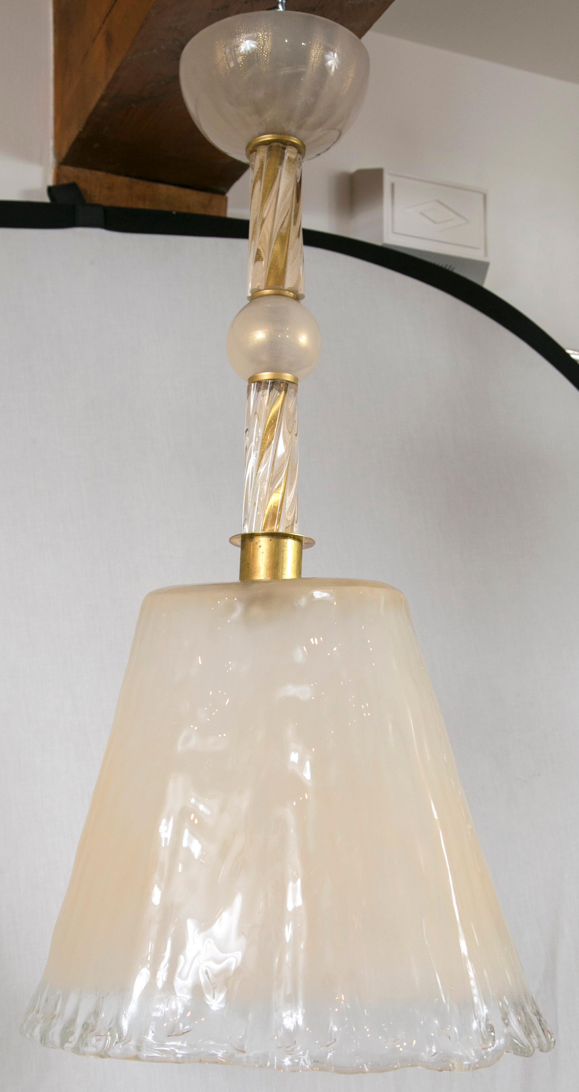 Italian Pair of Unique Murano Oval Shade Pendant Lights For Sale