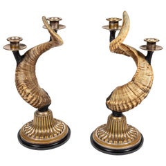 Pair of Unique Victorian Horn Candlesticks on Brass Base