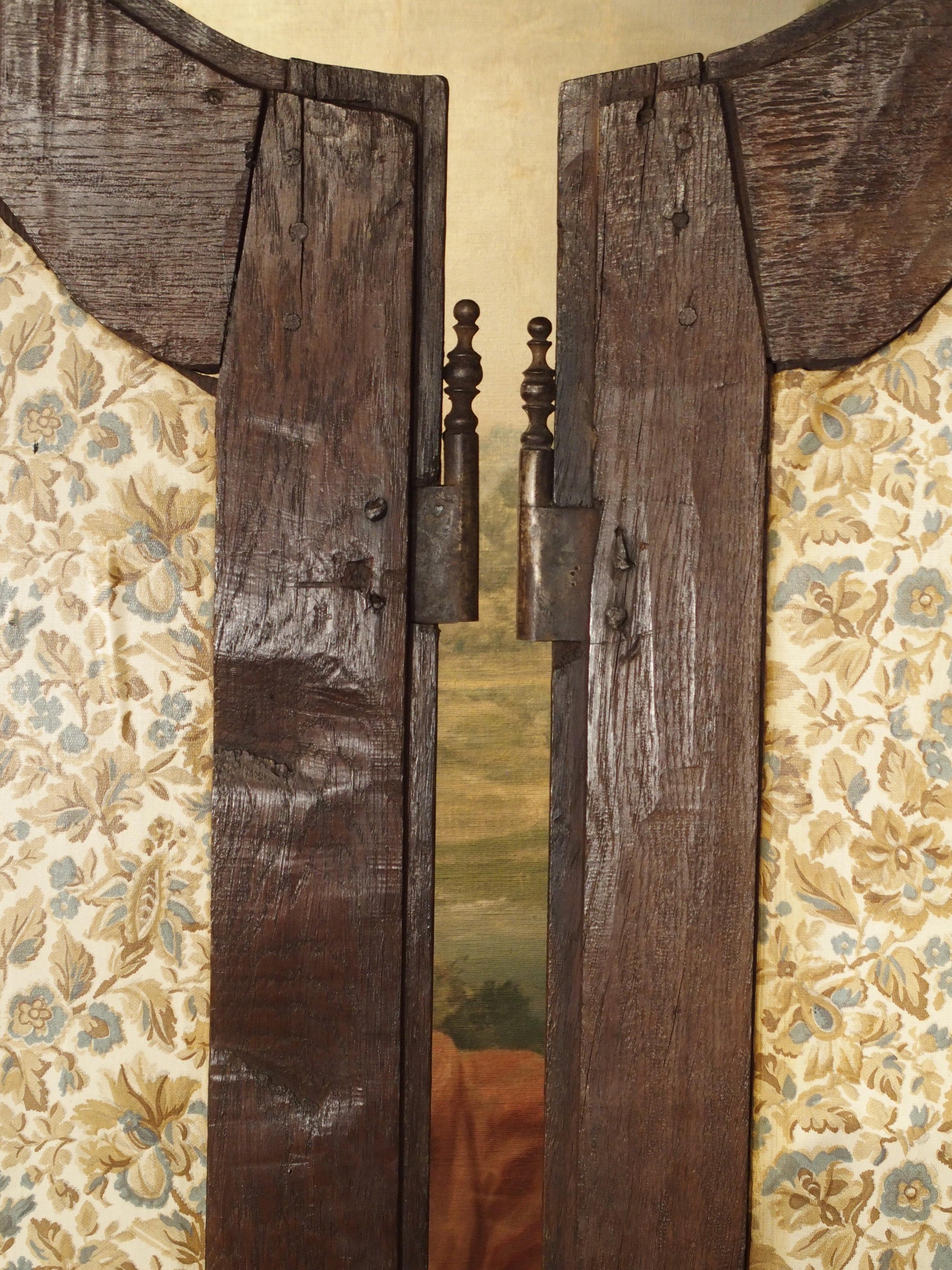 Pair of Unusual 18th Century French Oak Fleur-de-Lys Doors 4