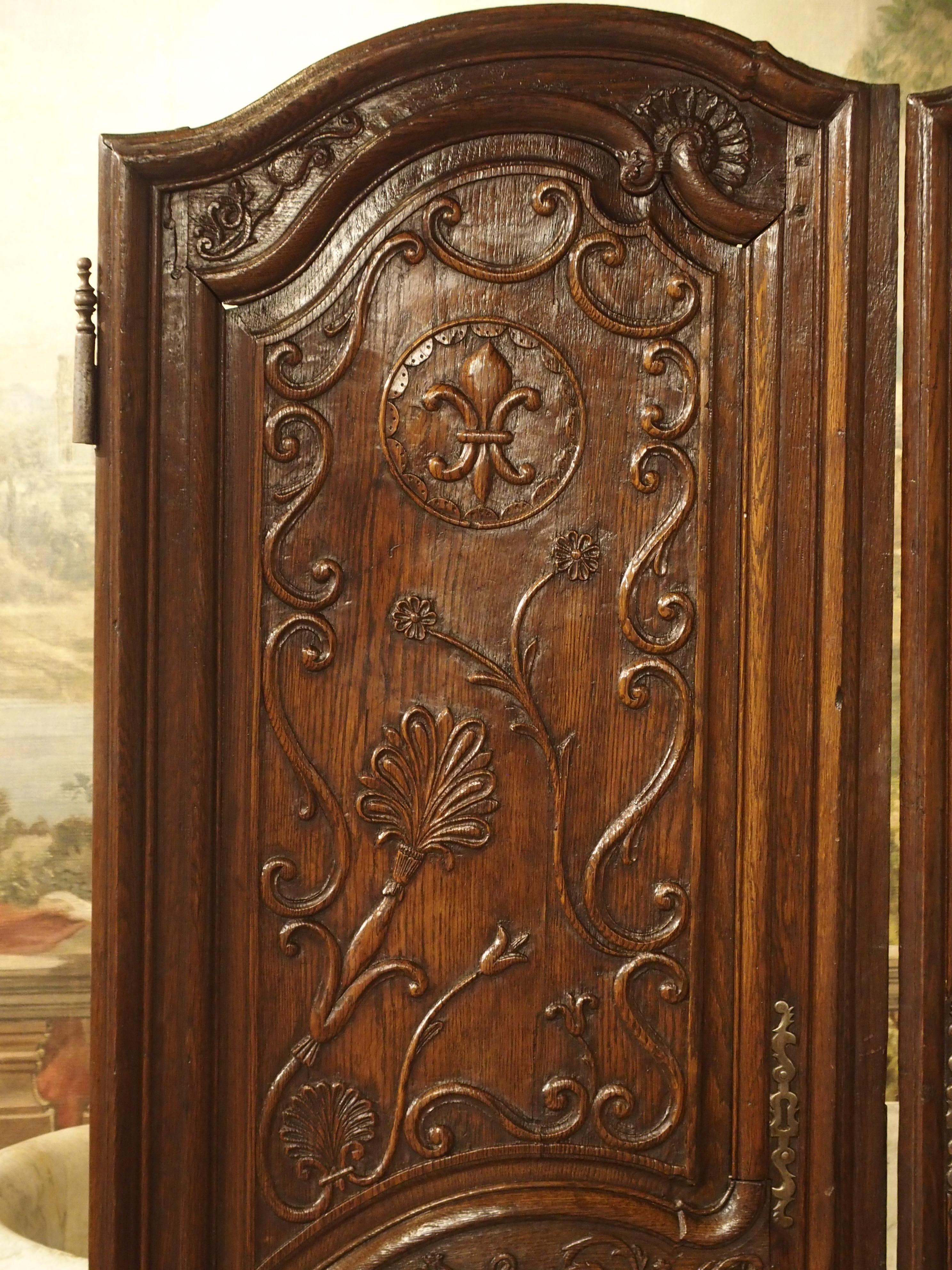 Pair of Unusual 18th Century French Oak Fleur-de-Lys Doors 6