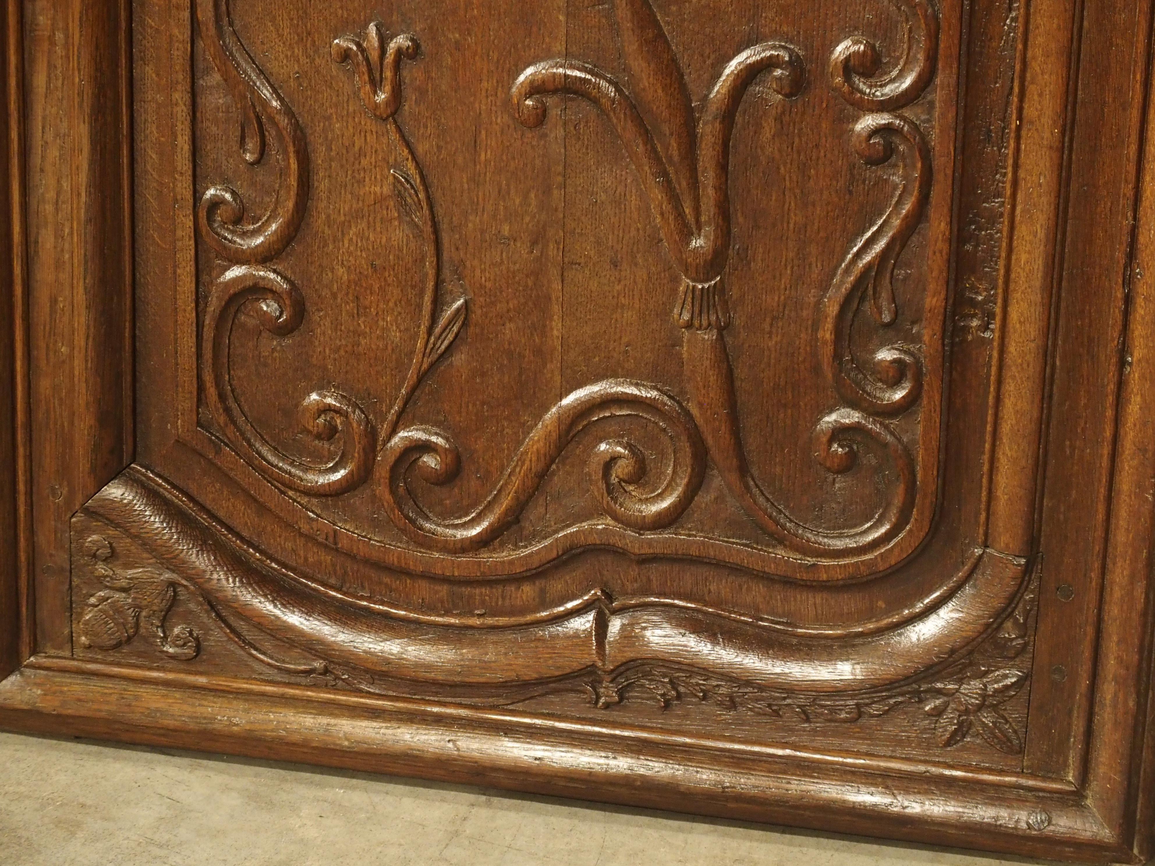 Pair of Unusual 18th Century French Oak Fleur-de-Lys Doors 10