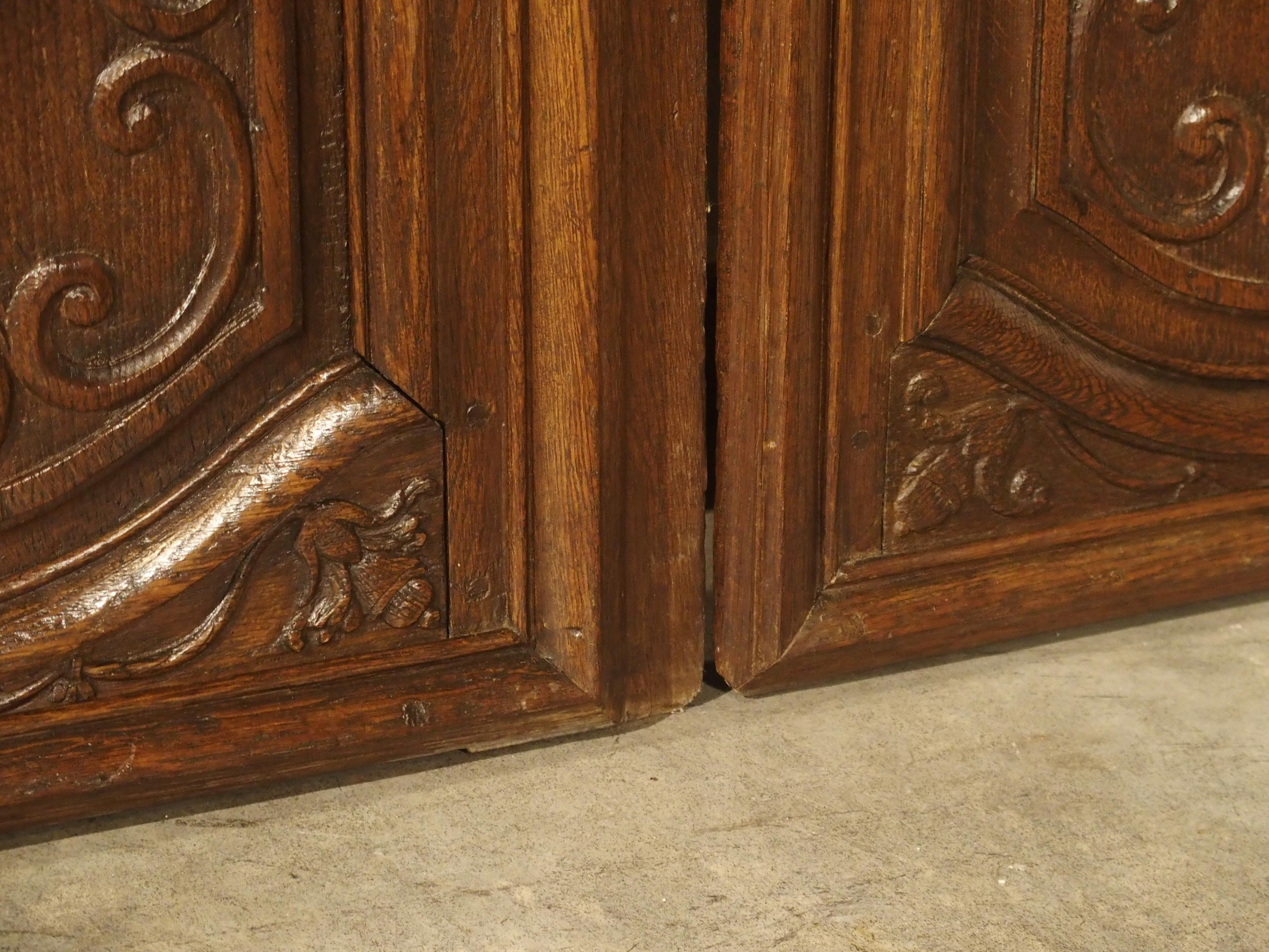 Pair of Unusual 18th Century French Oak Fleur-de-Lys Doors 2
