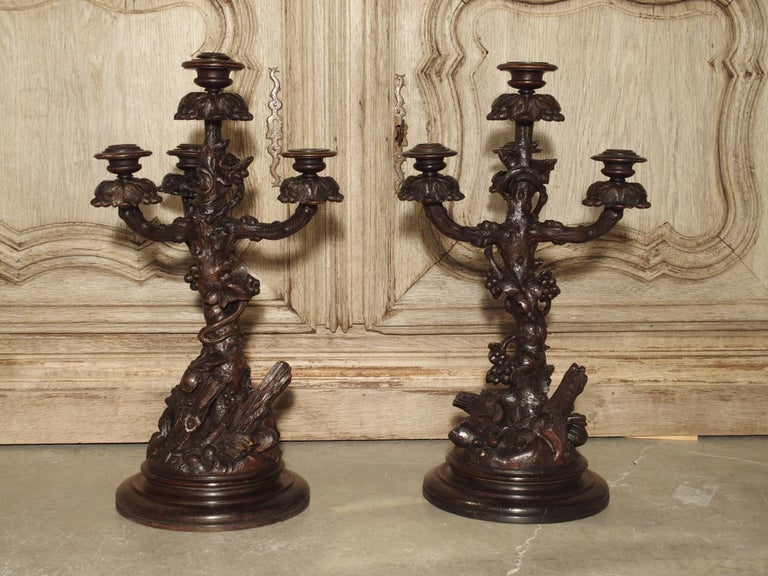 Pair of Unusual 19th Century Black Forest Candelabras at 1stDibs