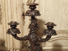 Pair of Unusual 19th Century Black Forest Candelabras