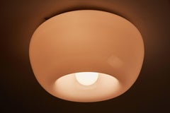 Pair of Velella Ceiling or Wall Lamps by Achille Castiglioni