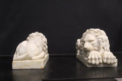 Pair of Venetian Lions, 56 cm high