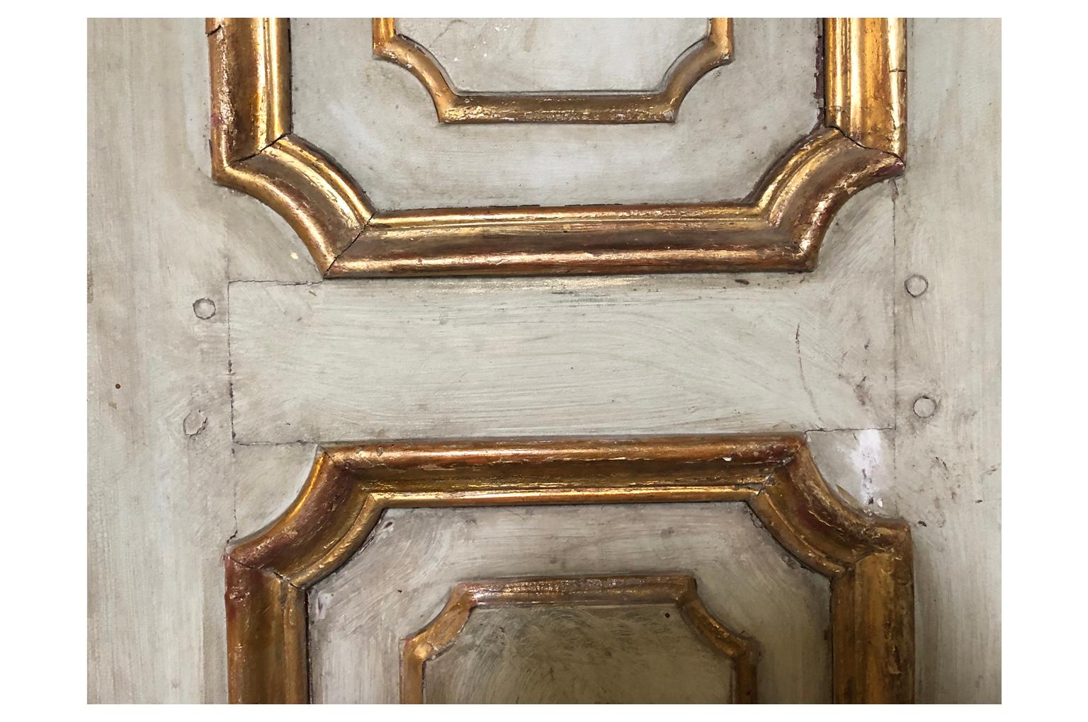 Painted Pair of Venetian Palazzo Doors