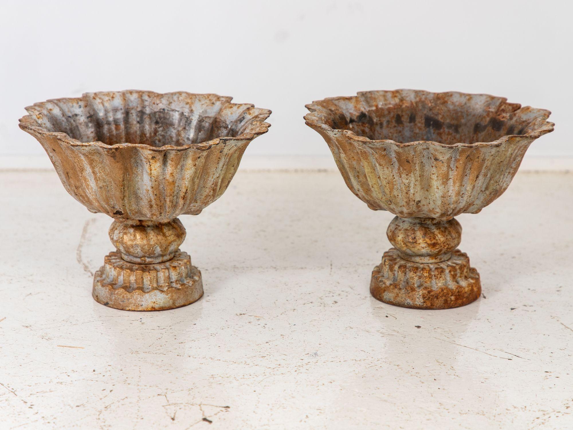 This captivating pair of late 20th-century iron tazzas exhibits a distinct verdigris patina, imbuing them with an aura of antiquity. Meticulously crafted, their wide, shallow bowls perch atop pedestals. The rich green-blue hue, a result of painted
