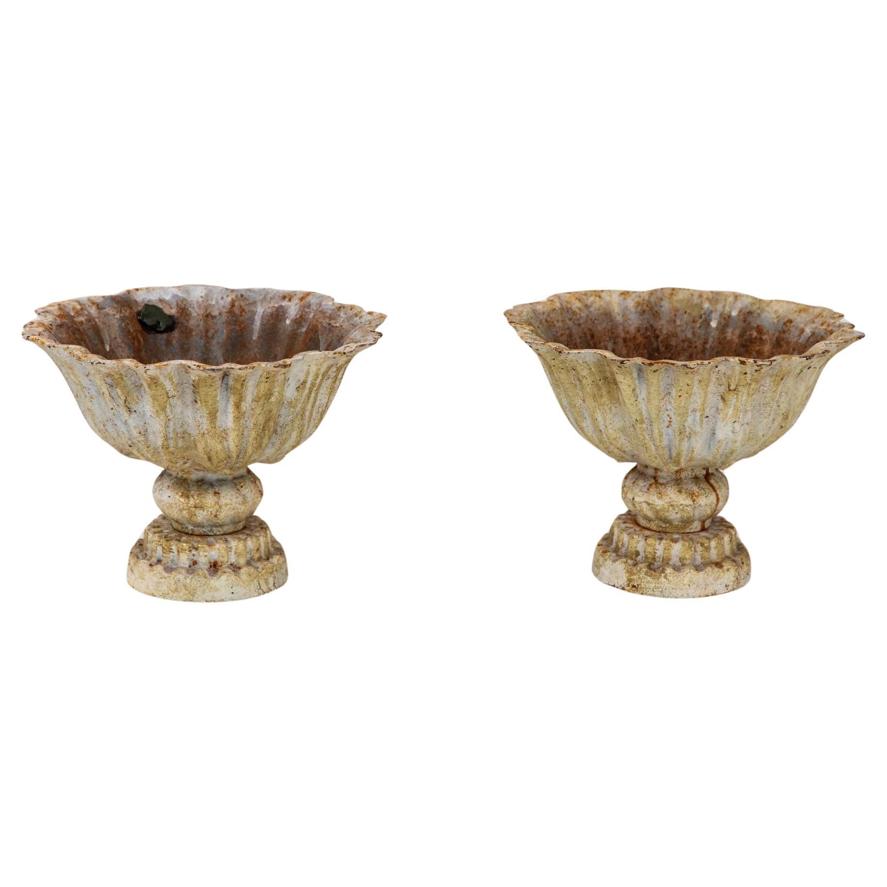 Pair of Verdigris Painted Iron Tazzas or Urns, English late 20th Century