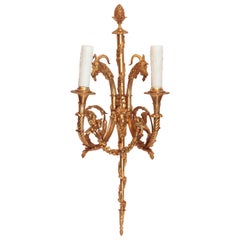 Pair of Very Fine 19th Century French Louis XVI Gilt Bronze Sconces