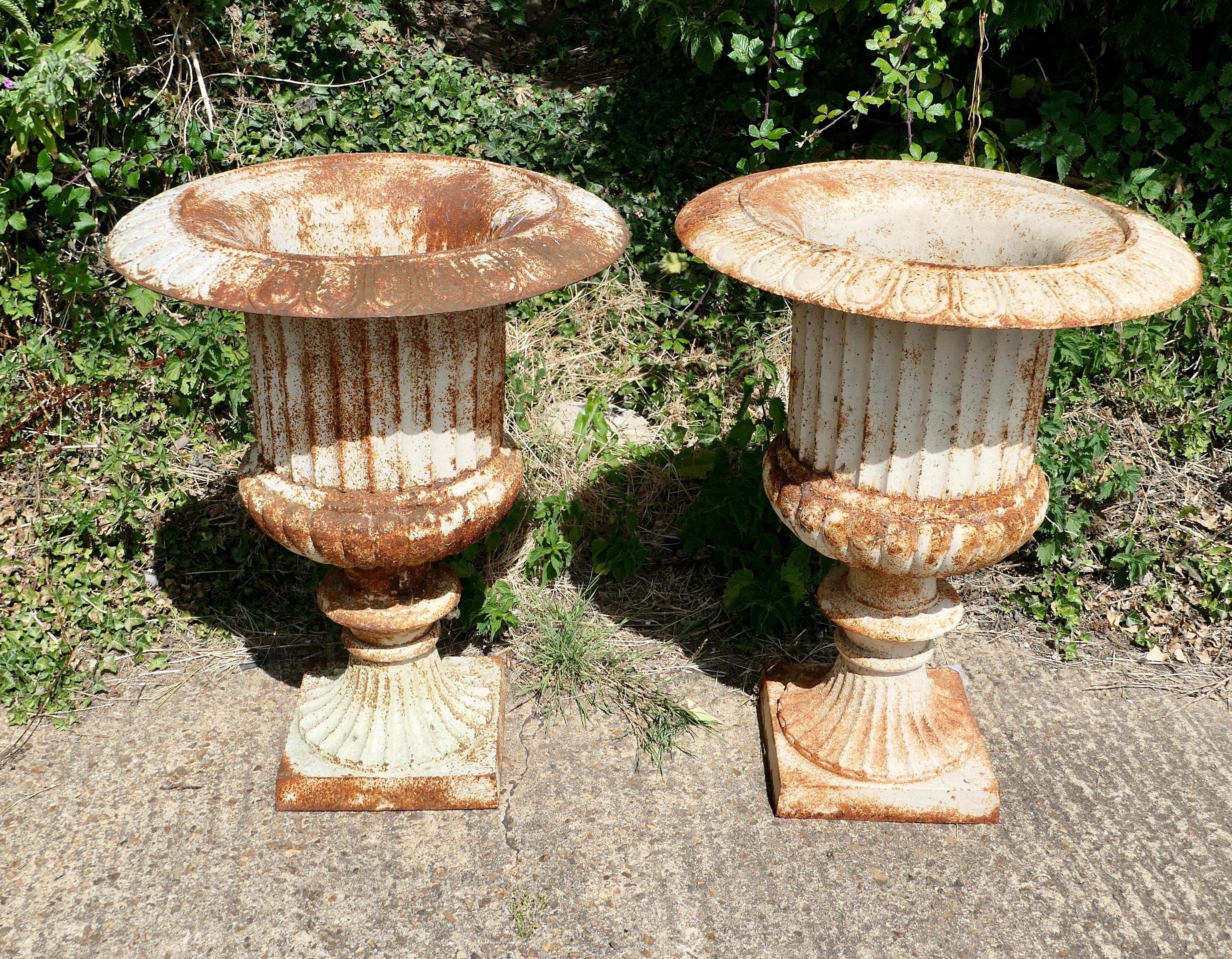 Pair of  Large Cast Iron Garden Urns, Garden Planters

This is a superb and unusually large pair of cast iron urns 
The urns are in good condition for their age, still very sound although they are weather worn and slightly rusty paint which after