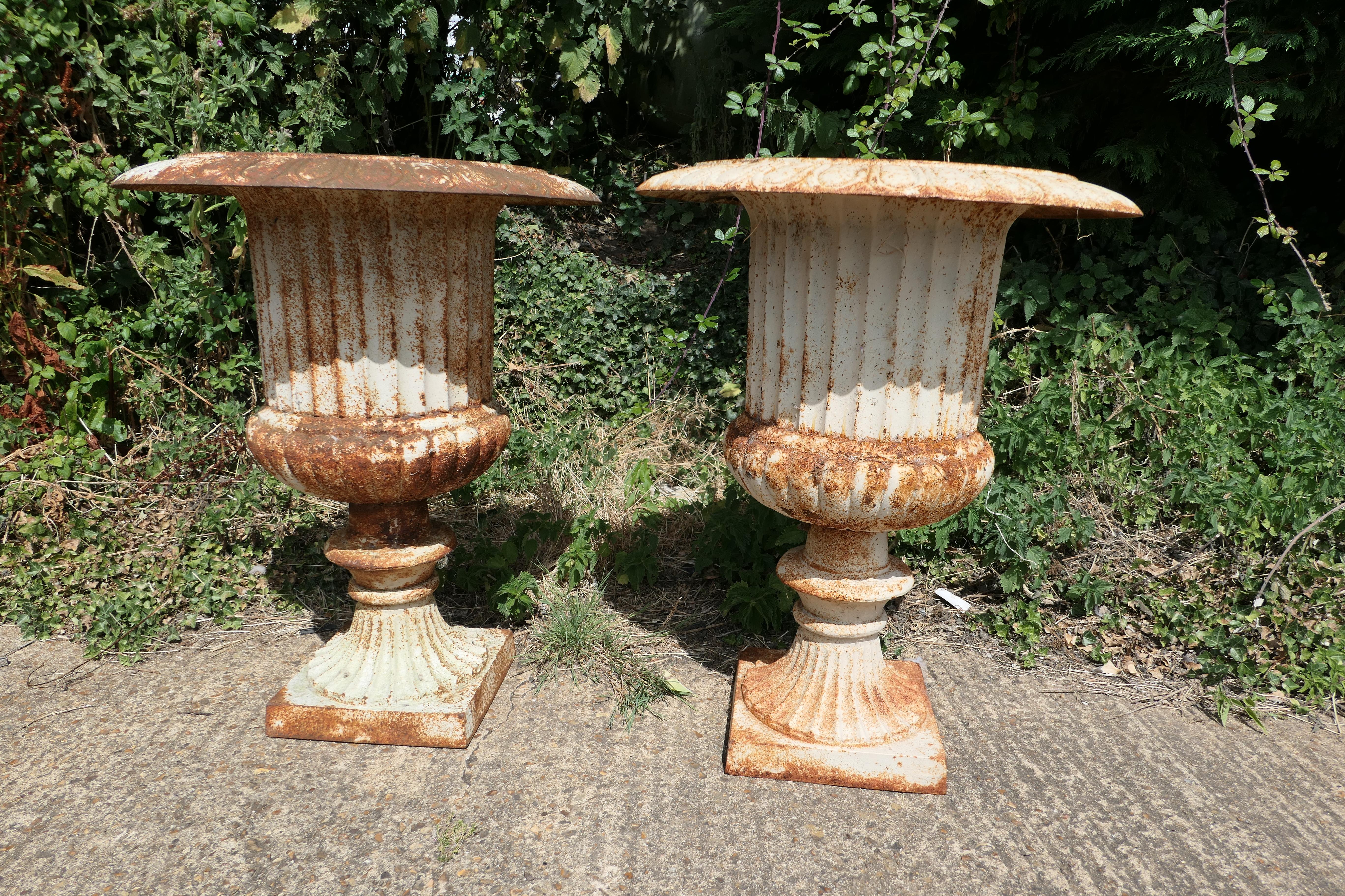Pair of Very Large Cast Iron Garden Urns, Garden Planters In Good Condition In Chillerton, Isle of Wight
