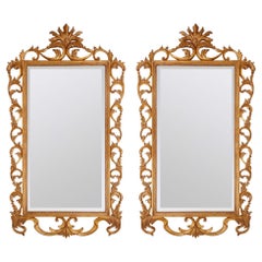 Pair of Very Large French Giltwood Mirrors with Scrolled Acanthus Borders