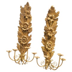 Pair Of Very Large Gilded Wood Sconces, 130cm, Early 20th Century