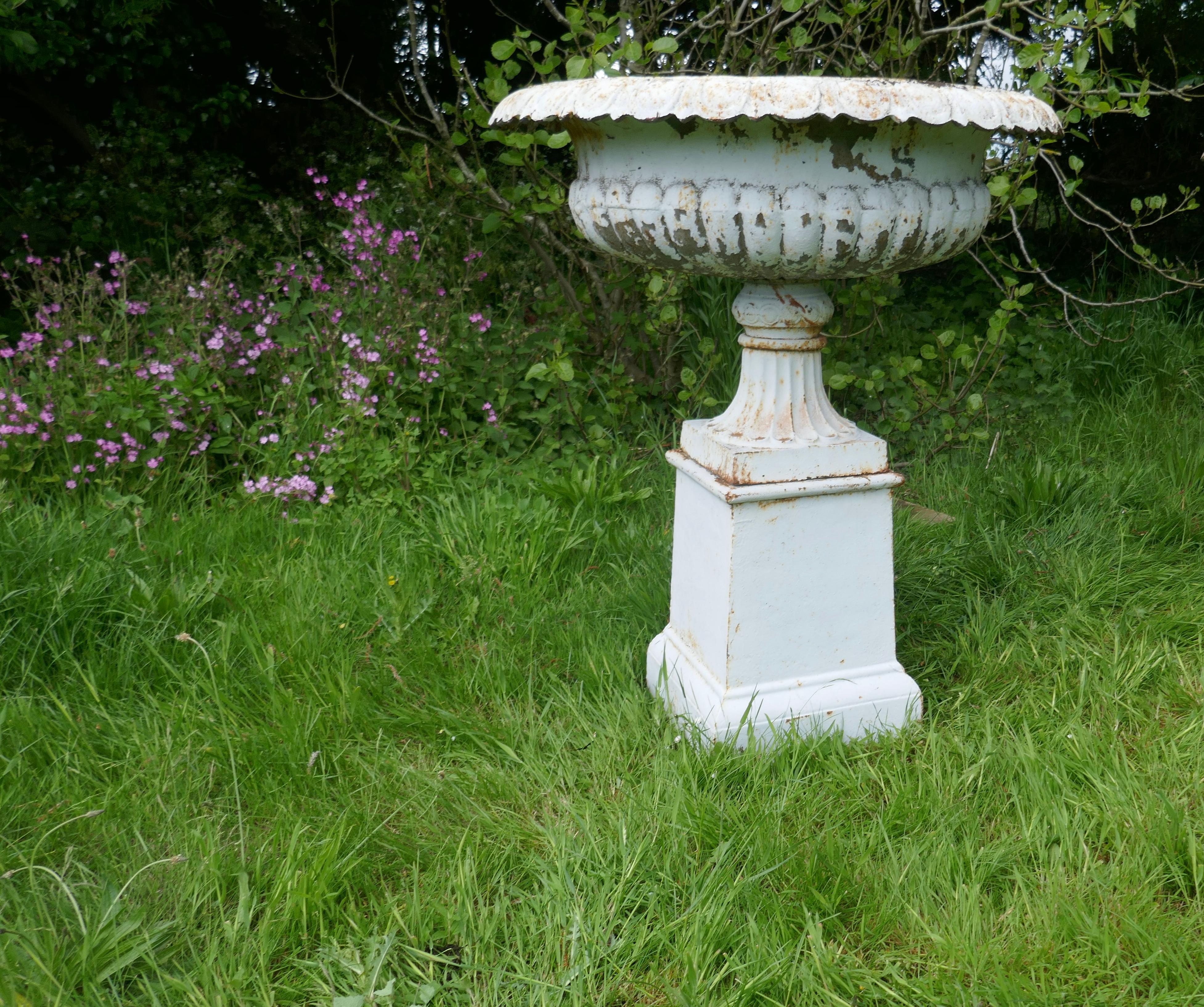 Pair of Very Large Victorian Cast Iron Garden Urns, Garden Planters For Sale 2