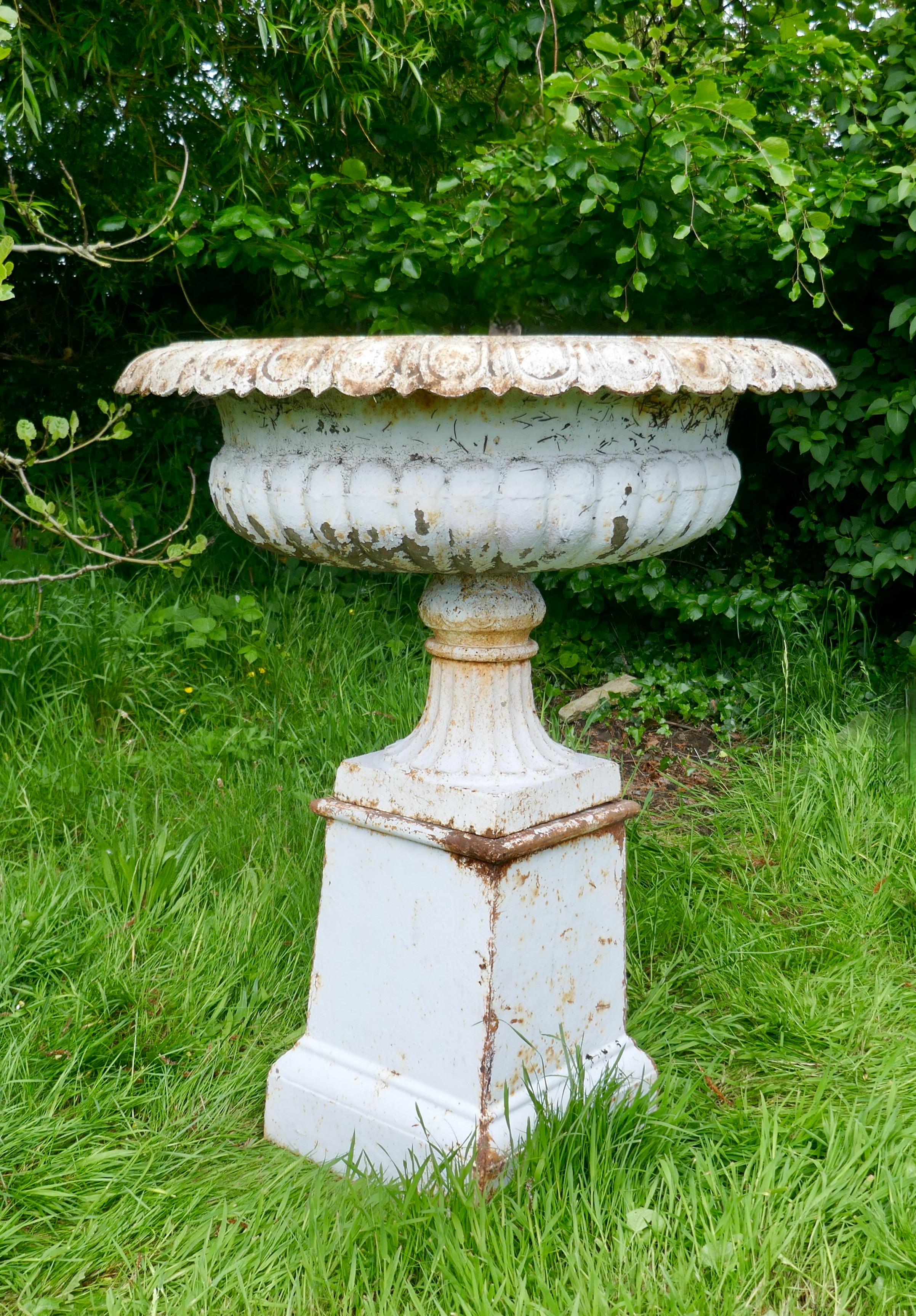 Pair of very large Victorian cast iron garden urns, garden planters

This is a superb and unusually large pair of cast iron urns 
The urns are in good condition for their age, still very sound although they are weather worn and have slightly