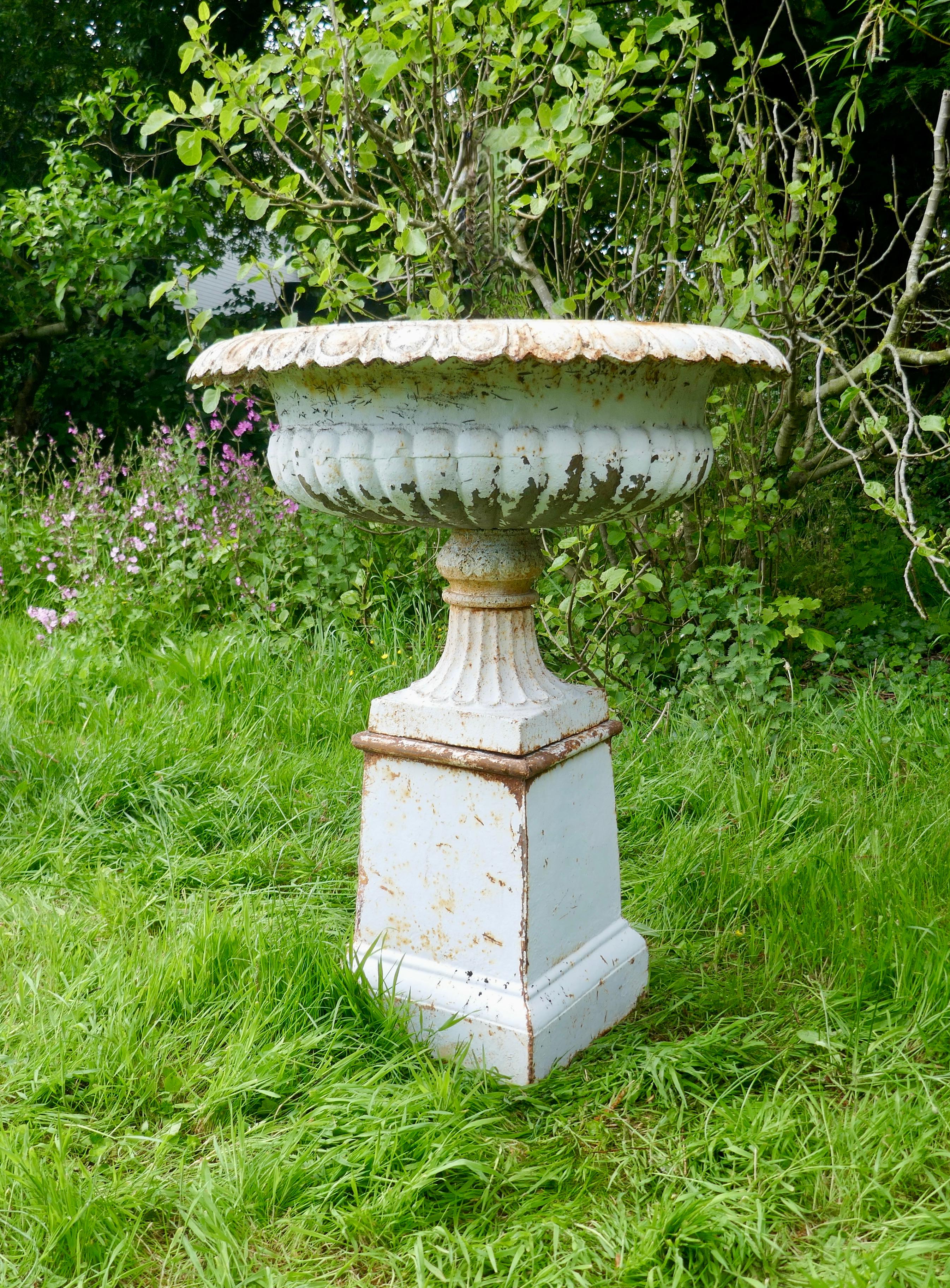 Pareja de grandes urnas de jardín victorianas de hierro fundido, jardineras en Bueno estado para la venta en Godshill, Isle of Wight