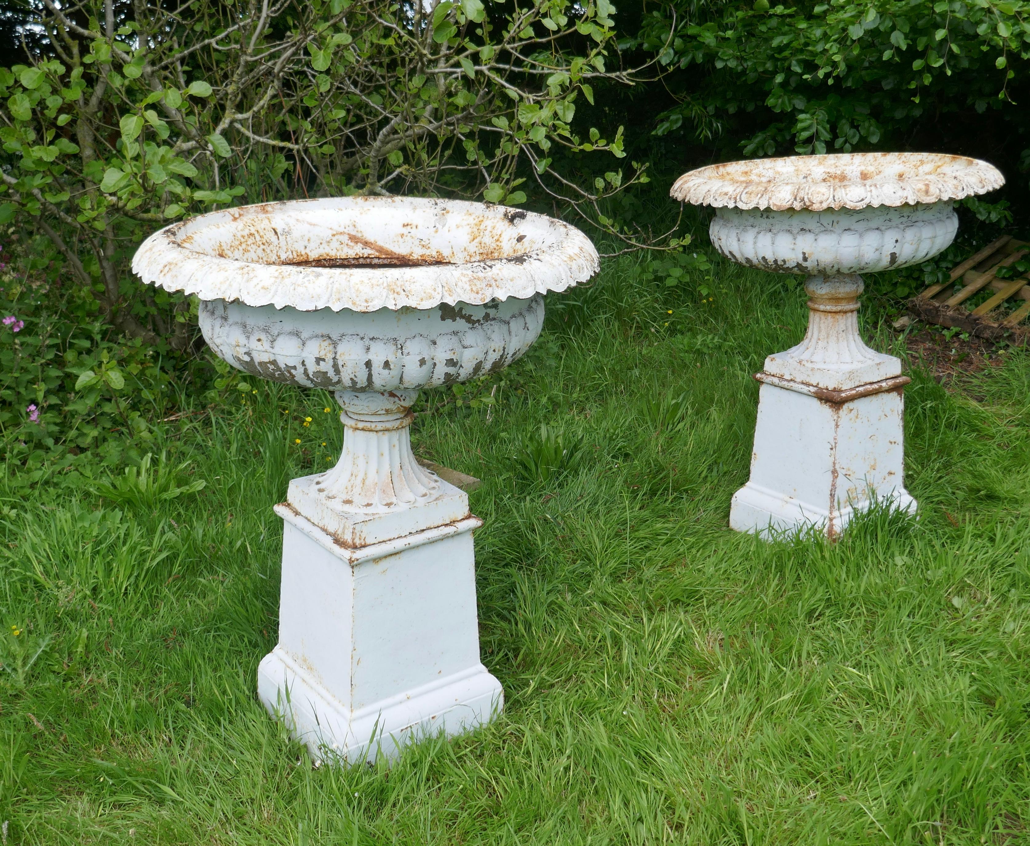 Pair of Very Large Victorian Cast Iron Garden Urns, Garden Planters In Good Condition For Sale In Chillerton, Isle of Wight