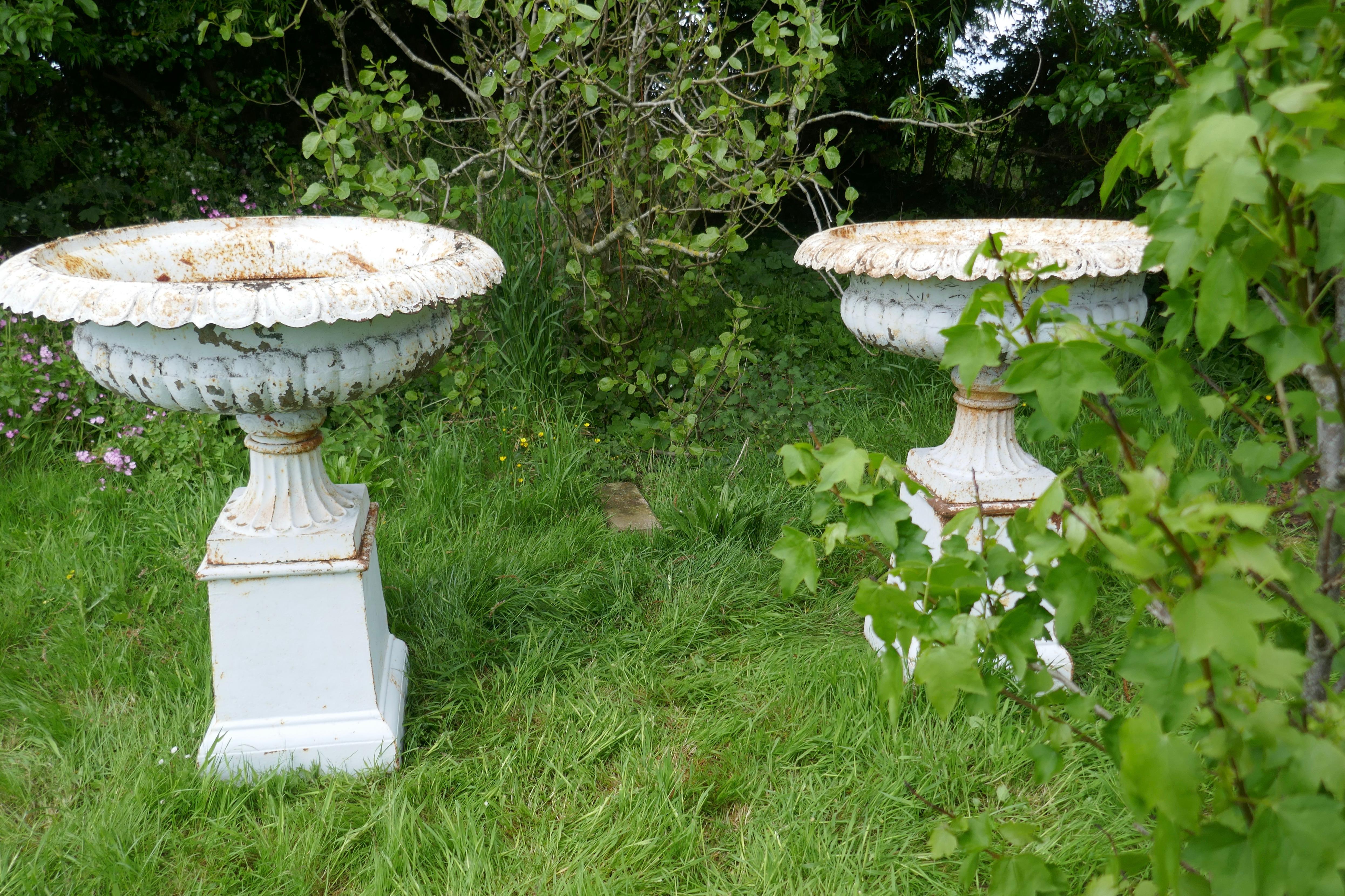 19th Century Pair of Very Large Victorian Cast Iron Garden Urns, Garden Planters For Sale