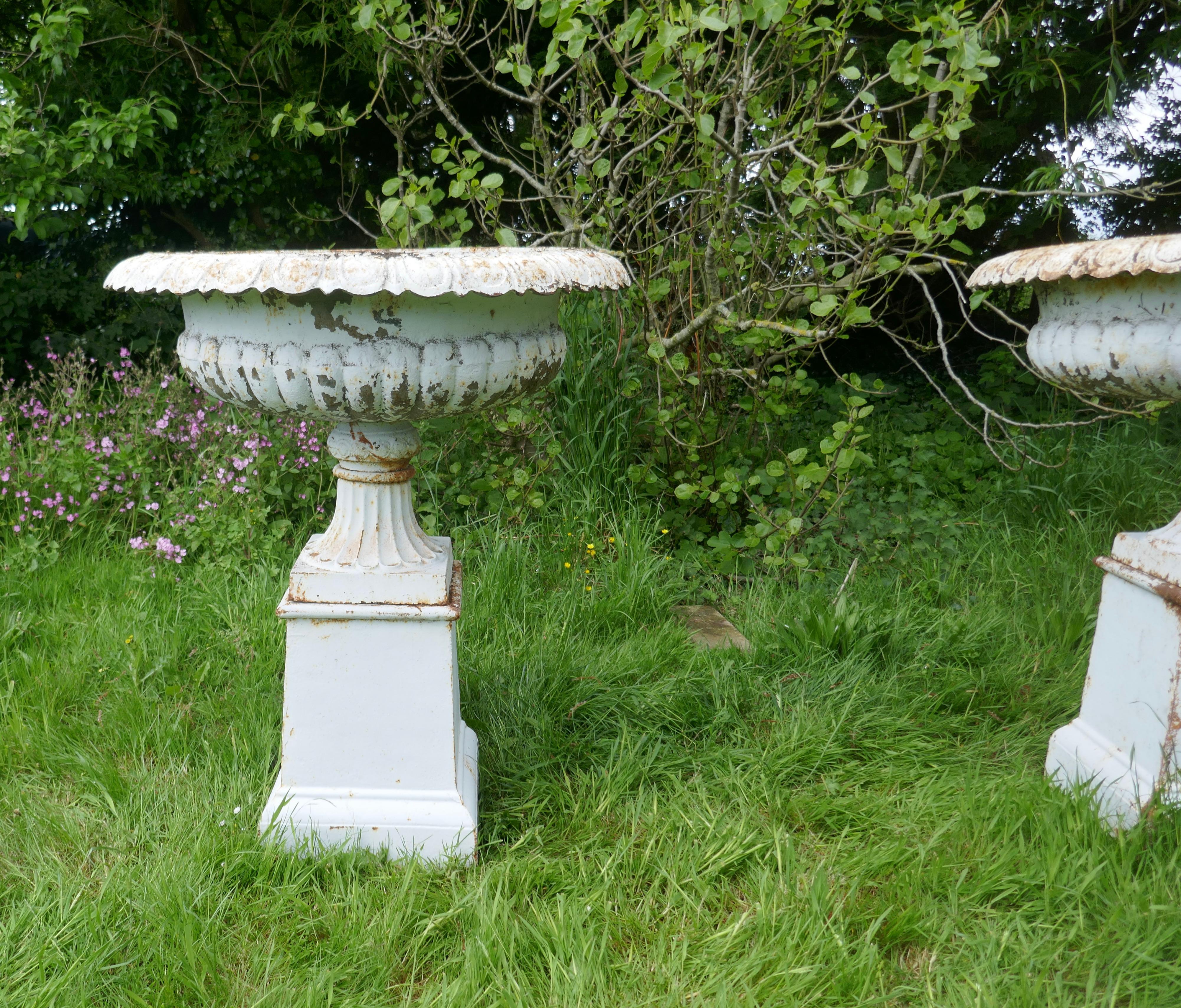 Pair of Very Large Victorian Cast Iron Garden Urns, Garden Planters For Sale 1